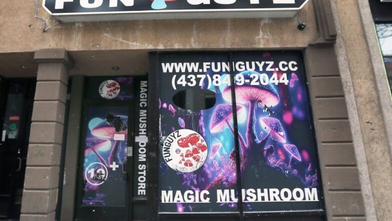 Windsor police raid downtown magic mushroom store for fifth time