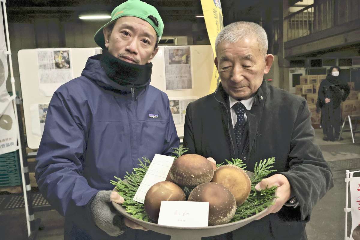 Box of 6 Shiitake Mushrooms from Noto Peninsula Fetch Record ¥350,000 at Auction; Buyer Hopes to Help Quake-Hit Region