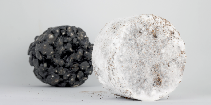 Mushroom makes tasty eco-asphalt