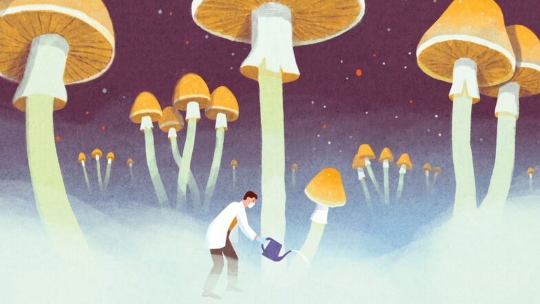 Job titles of the future: Pharmaceutical-grade mushroom grower