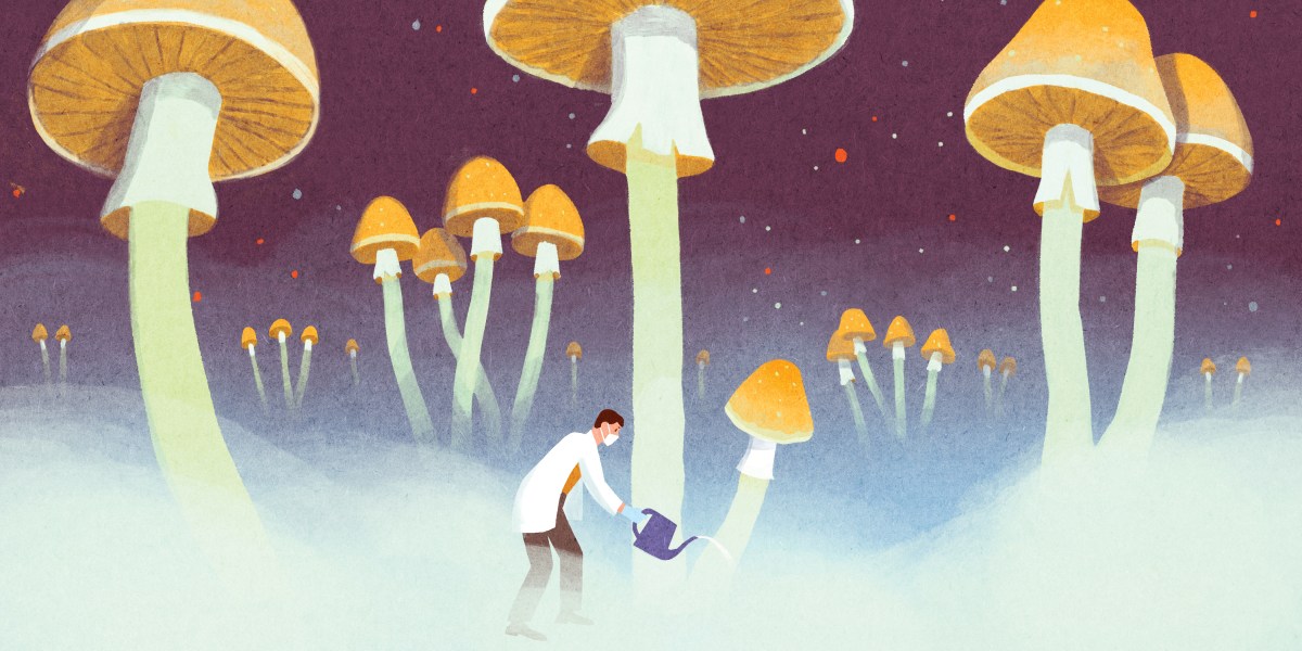 Job titles of the future: Pharmaceutical-grade mushroom grower