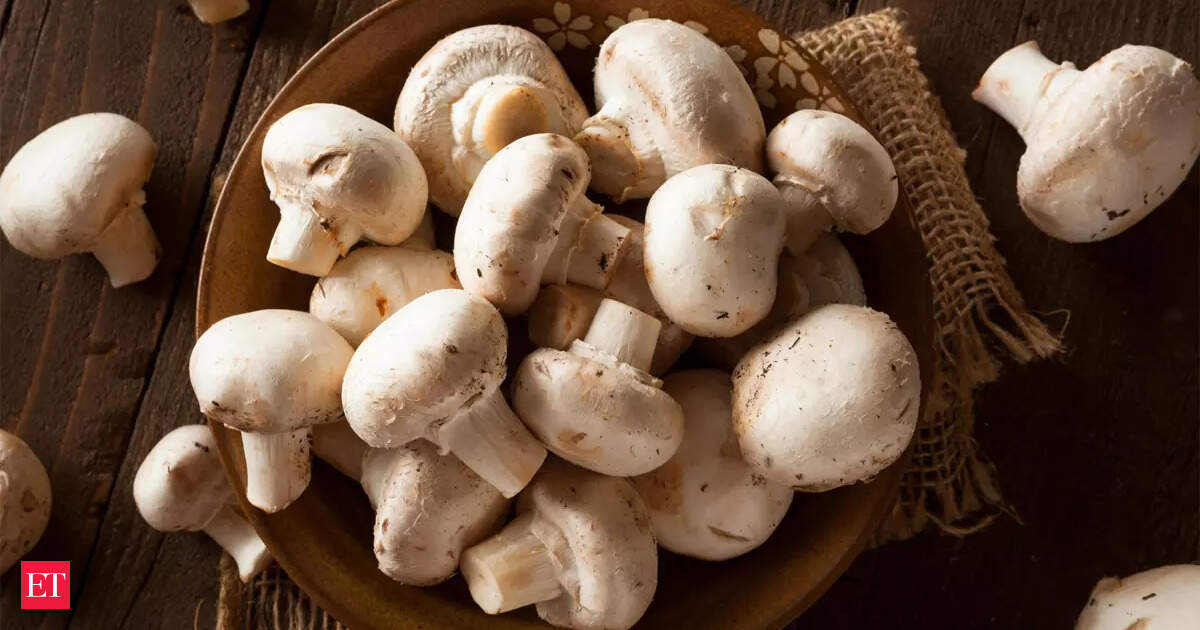 Mushroom mania grips India