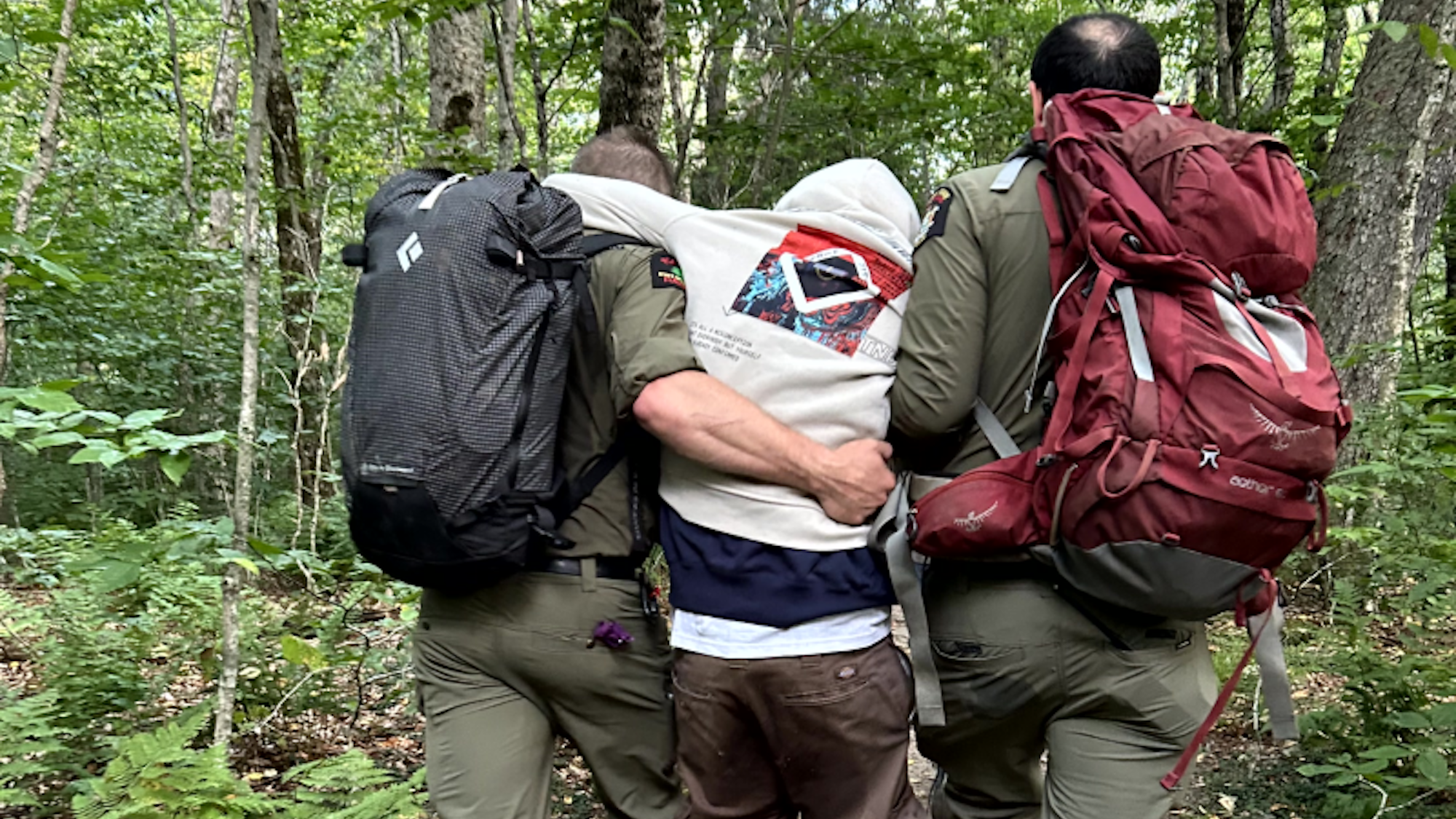 Hikers hallucinating on mushrooms rescued by forest rangers