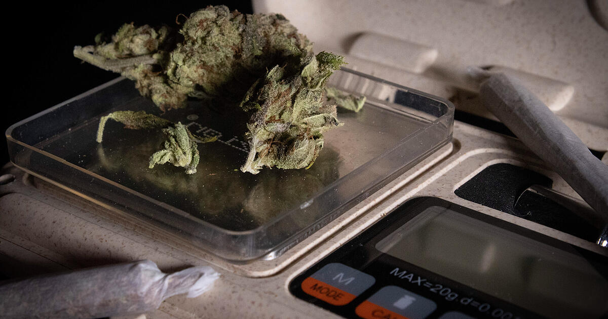 “Magic Mushrooms”, Cannabis und Co in Wohnung von mutmaßlichem Dealer im Pinzgau entdeckt