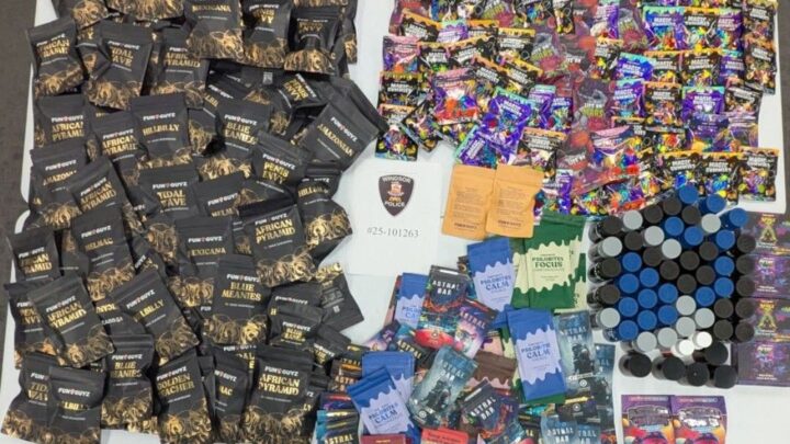 Windsor police seize $15K worth of magic mushroom products