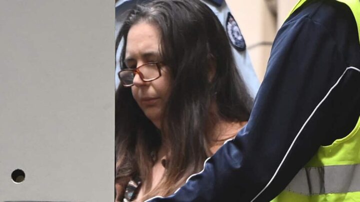 Erin Patterson to appeal murder convictions over deadly mushroom lunch, lawyer says