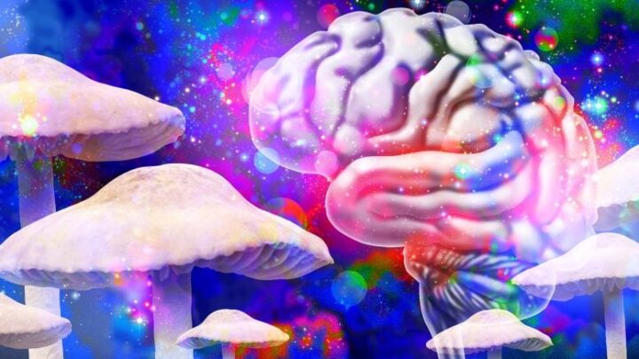 Magic Mushrooms Show Surprising Power to Ease Pain and Depression
